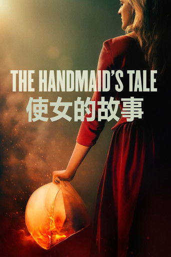 使女的故事海报