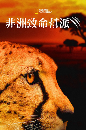 非洲最致命动物海报