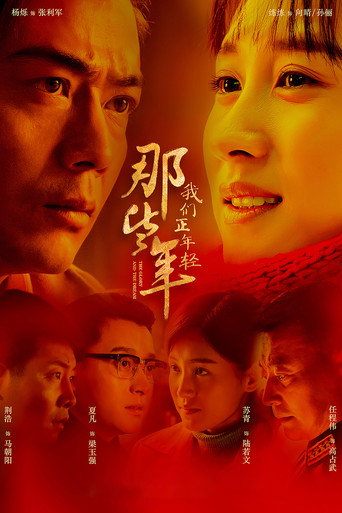 那些年,我们正年轻海报