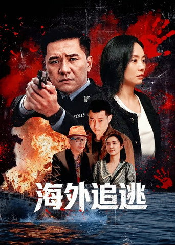 海外追逃海报