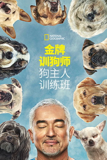 金牌训狗师:狗主人训练班 第 1 季海报