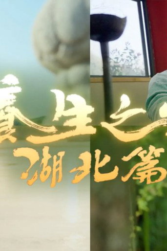 养生之旅-湖北篇海报