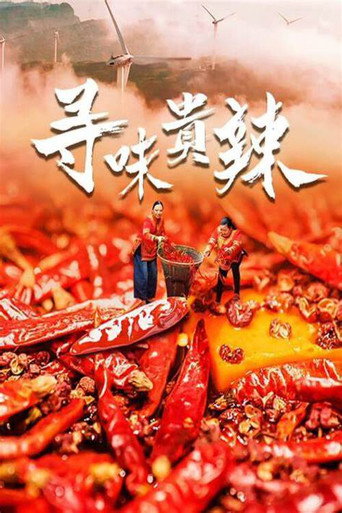 寻味贵辣海报