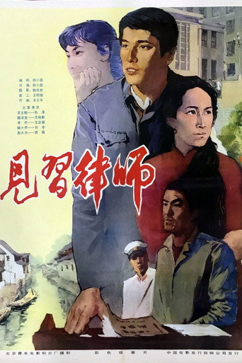 见习律师海报
