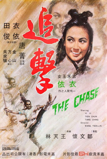 追击海报