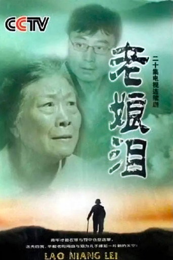 老娘泪海报