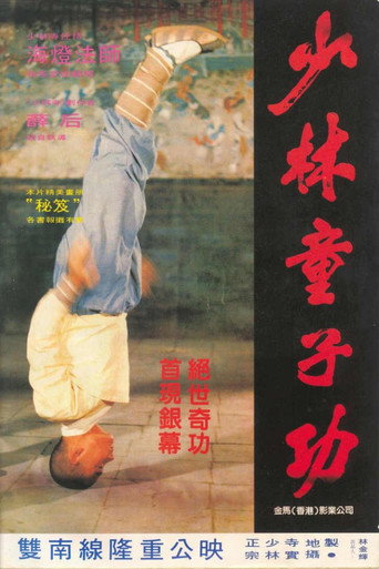 少林童子功海报