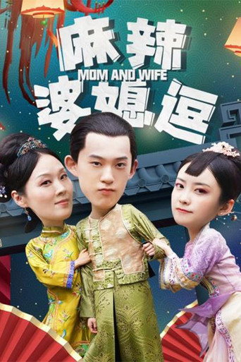 麻辣婆媳逗海报