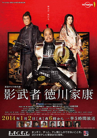 影武者徳川家康海报